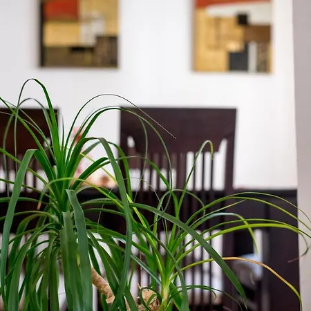Tanevi Appartement *