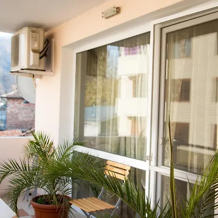 Tanevi * Petrich (Blagoevgrad)